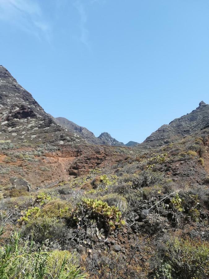 Tenerife サンタクルスデテネリフェ エクステリア 写真